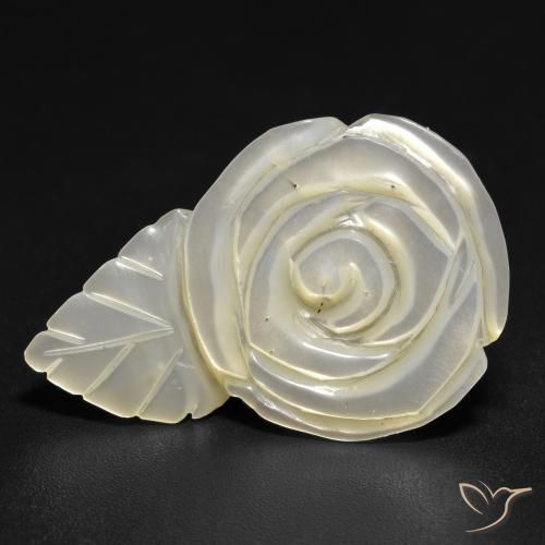 Madreperla Blanco perlado natural de 14.48 ct, Corte Flor, Opaco