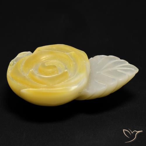 Madreperla Amarillo medio natural de 21.40 ct, Corte Flor, Opaco