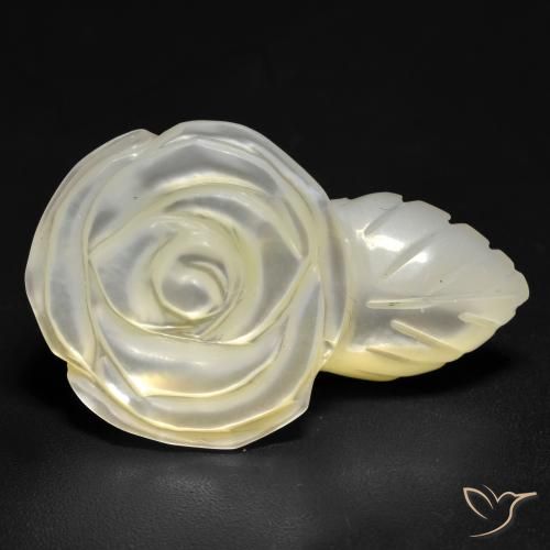 Madreperla Blanco perlado natural de 19.04 ct, Corte Flor, Opaco