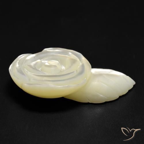 Madreperla Blanco perlado natural de 19.04 ct, Corte Flor, Opaco