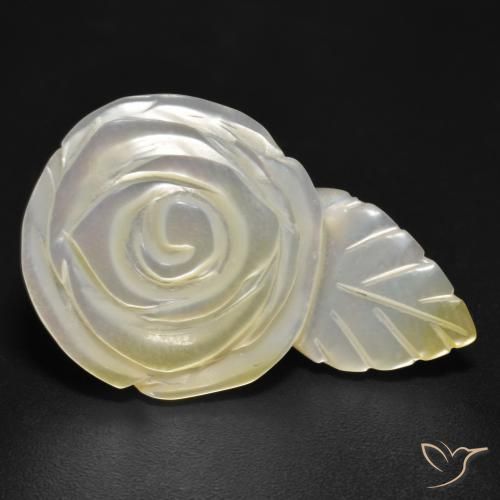 Madreperla Blanco perlado natural de 17.04 ct, Corte Flor, Opaco