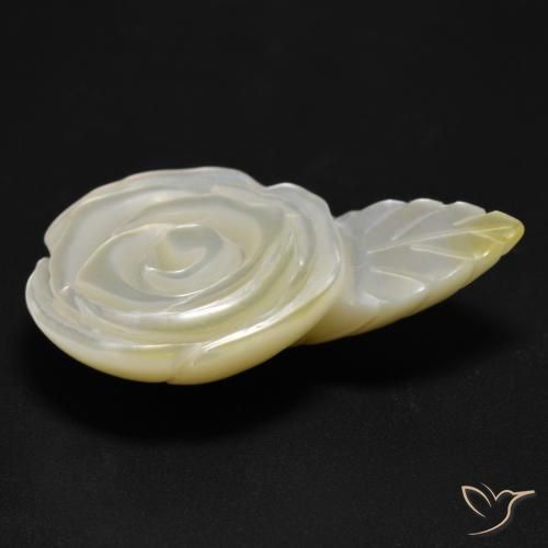 Madreperla Blanco perlado natural de 17.04 ct, Corte Flor, Opaco