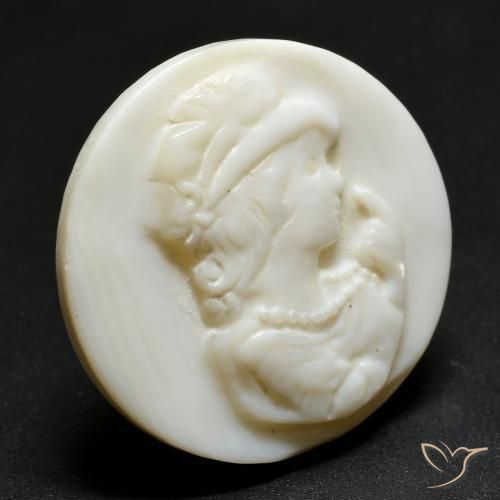 Madreperla Blanco crema natural de 19.39 ct, Redondo, Opaco