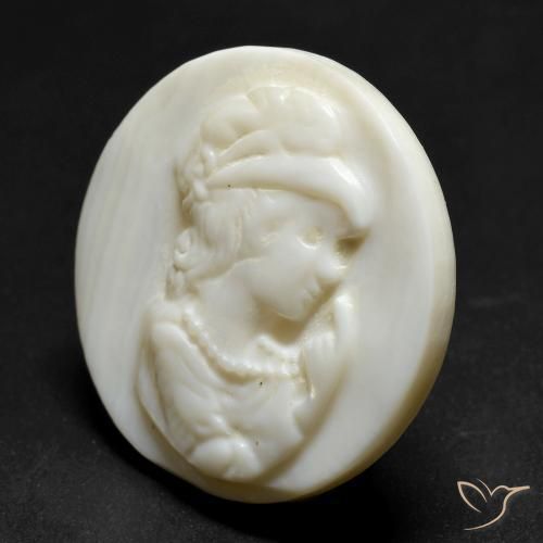 Madreperla Blanco crema natural de 19.39 ct, Redondo, Opaco