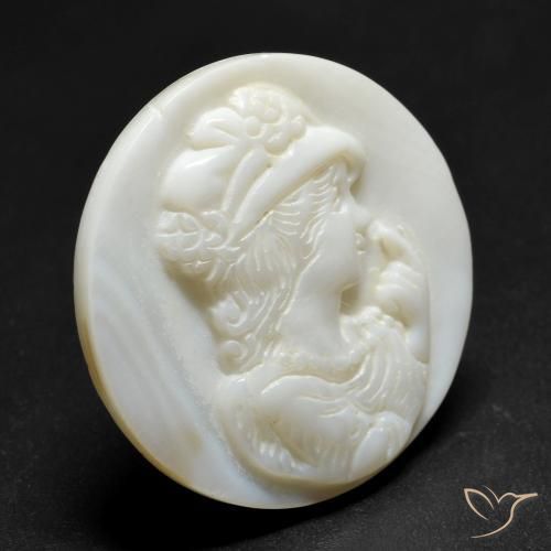 Madreperla Blanco perlado natural de 14.43 ct, Redondo, Opaco