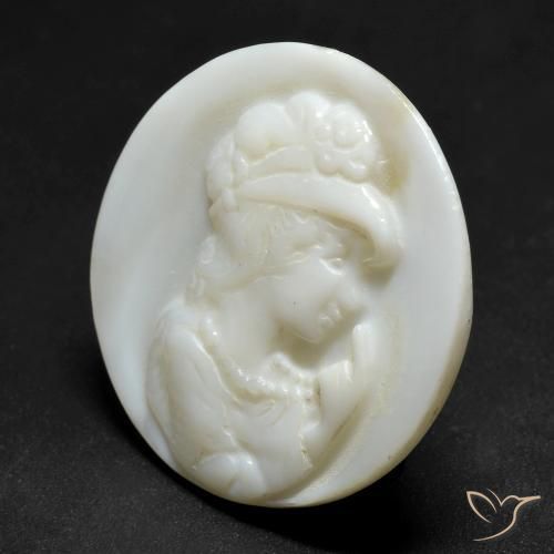 Madreperla Blanco perlado natural de 12.47 ct, Redondo, Opaco