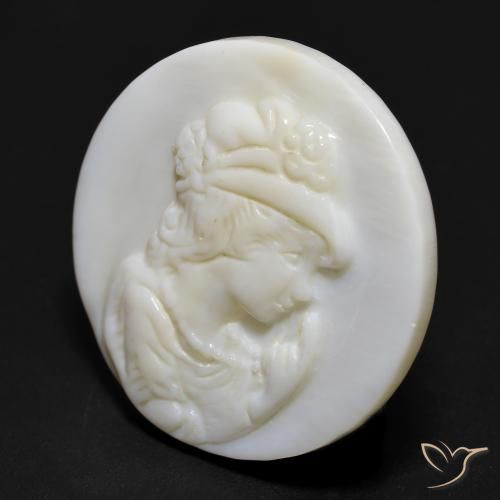 Madreperla Blanco perlado natural de 16.55 ct, Redondo, Opaco