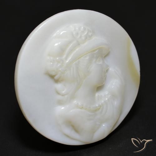 Madreperla Blanco perlado natural de 15.28 ct, Redondo, Opaco