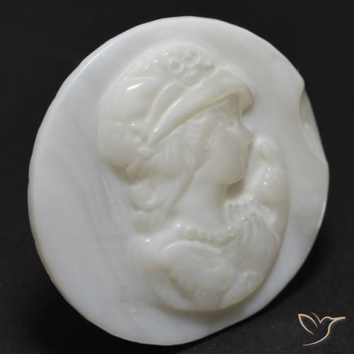 Madreperla Blanco perlado natural de 13.54 ct, Redondo, Opaco