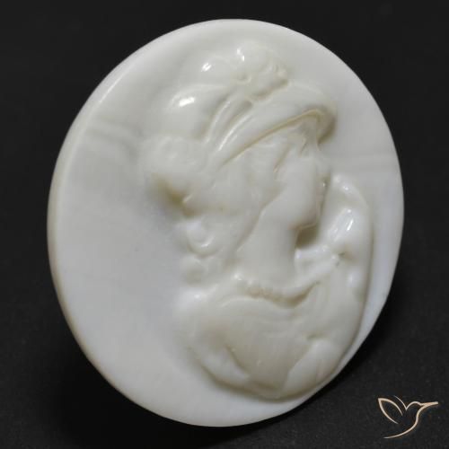 Madreperla Blanco perlado natural de 11.66 ct, Redondo, Opaco