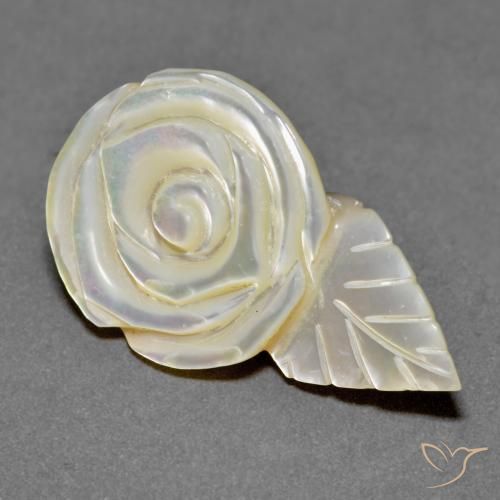 Madreperla Blanco perlado natural de 18.79 ct, Corte Flor, Opaco