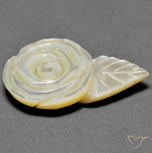 Madreperla Blanco perlado natural de 18.79 ct, Corte Flor, Opaco