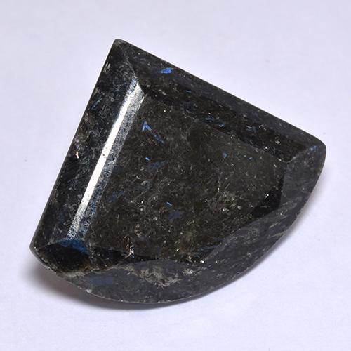 Nuummite Negro natural de 25.81 ct, Forma elegante, Opaco