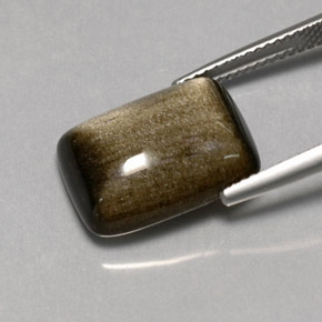 Obsidiana Brillo dorado natural de 7.58 ct, Corte Cojín, Opaco