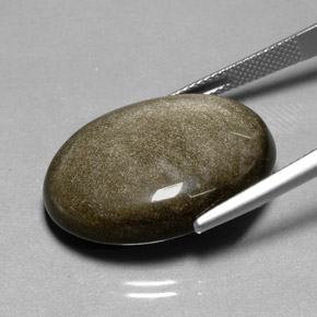 Obsidiana Brillo dorado natural de 22.53 ct, Corte Óvalo, Opaco
