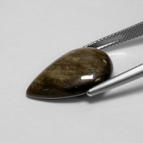 Obsidiana Brillo dorado natural de 7.12 ct, En forma de pera, Opaco