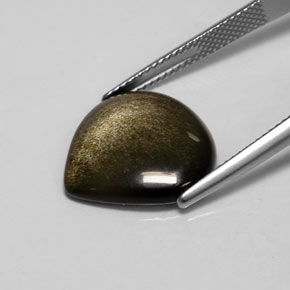 Obsidiana Brillo dorado natural de 7.13 ct, En forma de pera, Opaco