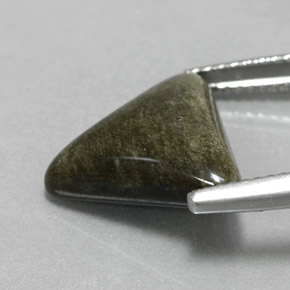 Obsidiana Brillo dorado natural de 4.65 ct, Trillón, Opaco