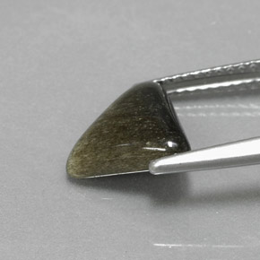 Obsidiana Brillo dorado natural de 1.67 ct, Trillón, Opaco