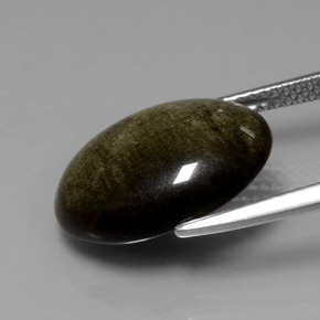 Obsidiana Brillo dorado natural de 6.16 ct, Corte Óvalo, Opaco