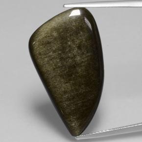 Obsidiana Negro dorado brillante natural de 11.73 ct, Forma elegante, Opaco
