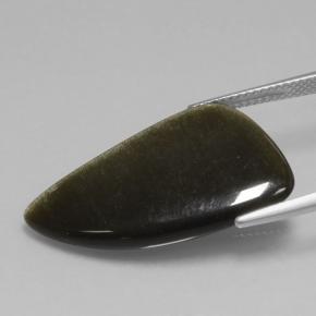 Obsidiana Negro dorado brillante natural de 11.73 ct, Forma elegante, Opaco