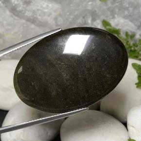 Obsidiana Negro dorado brillante natural de 31.63 ct, Corte Óvalo, Opaco