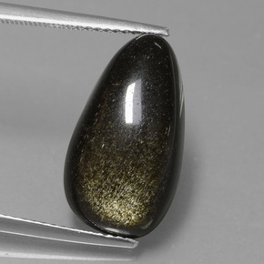 Obsidiana Brillo dorado natural de 7.78 ct, Forma elegante, Opaco