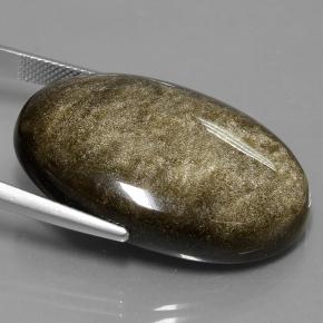 Obsidiana Brillo dorado negro natural de 42.84 ct, Corte Óvalo, Opaco