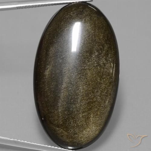 51.67ct Natural Negro con brillo dorado Obsidiana, Ovalada, Opaco