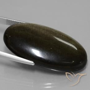 Obsidiana Negro con brillo dorado natural de 51.67 ct, Ovalada, Opaco