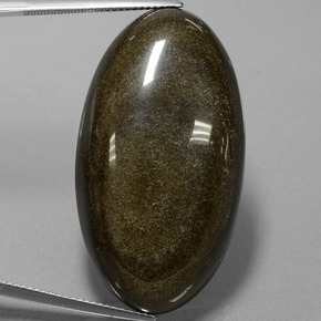 Obsidiana Brillo dorado natural de 52.66 ct, Corte Óvalo, Opaco