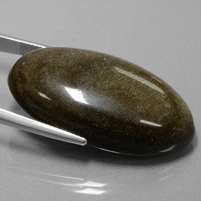 Obsidiana Brillo dorado natural de 52.66 ct, Corte Óvalo, Opaco