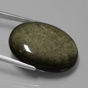 Obsidiana Brillo dorado negro natural de 25.43 ct, Corte Óvalo, Opaco