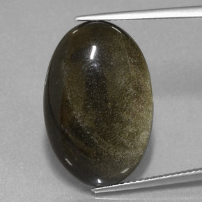 Obsidiana oro natural de 15,30 ct, corte óvalo, opaco
