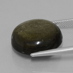 Obsidiana Brillo dorado negro natural de 19.72 ct, Corte Redondo, Opaco