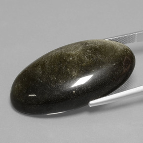 Obsidiana Brillo dorado natural de 41.23 ct, Corte Óvalo, Opaco