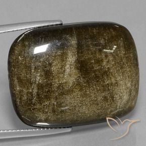Obsidiana dorado natural de 31,71 ct, corte cojín, opaco