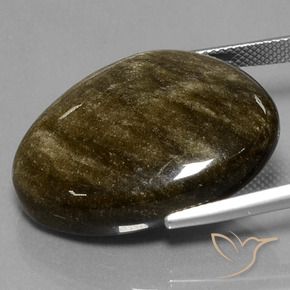 Obsidiana Negro con brillo dorado natural de 30.42 ct, Elegante, Opaco