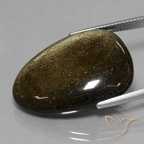 Obsidiana Negro con brillo dorado natural de 29.28 ct, Elegante, Opaco