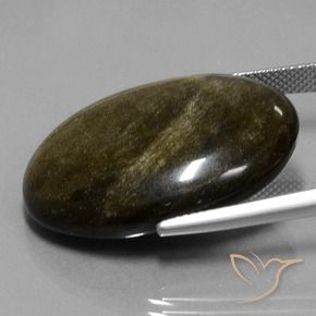 Obsidiana Negro con brillo dorado natural de 32.97 ct, Ovalada, Opaco