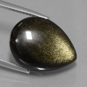 Obsidiana Brillo dorado natural de 11.68 ct, En forma de pera, Opaco