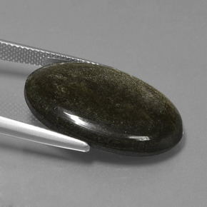 Obsidiana Brillo dorado negro natural de 16.64 ct, Corte Óvalo, Opaco