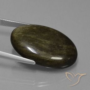 Obsidiana Marrón negruzco natural de 31.37 ct, Ovalada, Opaco