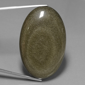Obsidiana Brillo dorado negro natural de 71.91 ct, Corte Óvalo, Opaco