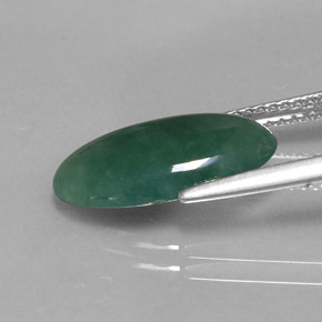 Jade de onfacita verde natural de 3,66 ct, corte óvalo, translúcido
