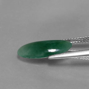 Jade de onfacita verde natural de 3,52 ct, forma elegante, translúcido
