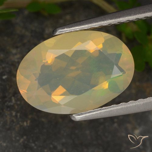 1.46ct Natural Multicolor Ópalo, Ovalada, Transparente