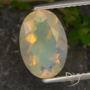 Ópalo Multicolor natural de 1.46 ct, Ovalada, Transparente