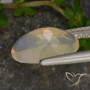 Ópalo Multicolor natural de 1.46 ct, Ovalada, Transparente